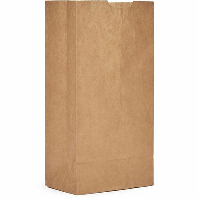 AJM Packaging #4 Kraft Paper Grocery Bags, Natural Kraft, 500 / Carton, AJMGB04NP5CES