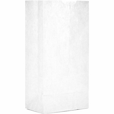 AJM Packaging #4 White Paper Grocery Bags, Bleached Kraft, 500 / Carton — view 1