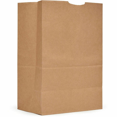 AJM Packaging 1/6 BBL #52 Kraft Paper Grocery Sacks, Natural Kraft, 500 / Carton — view 1