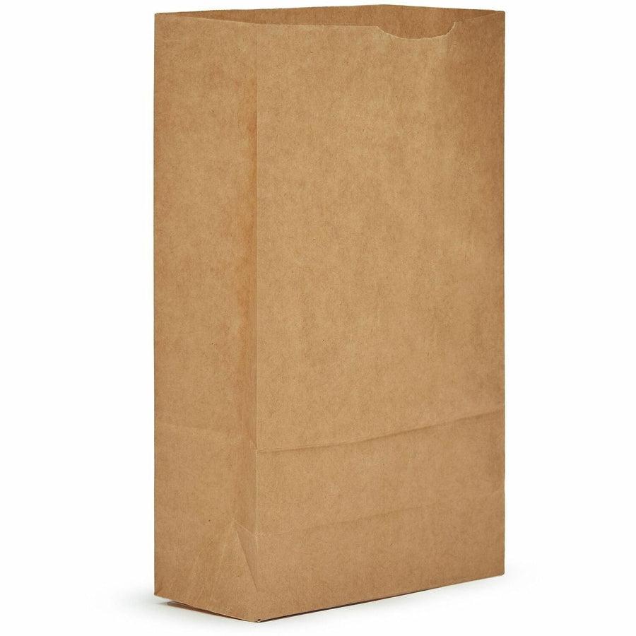 AJM Packaging #6 Kraft Paper Grocery Bags, Natural Kraft, 500 / Carton — view 1
