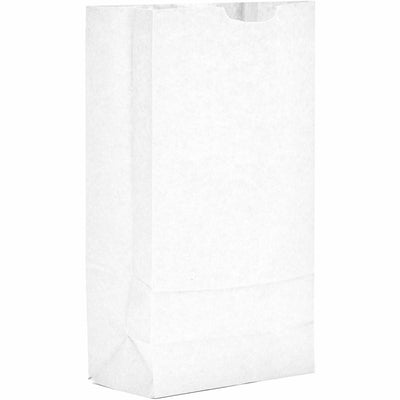 AJM Packaging #10 White Paper Grocery Bags, Bleached Kraft, 500 / Carton, AJMWB10NP5CES