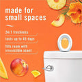 Procter & Gamble Febreze Hawaiian Small Spaces, Orange, 6 / Carton, PGC55879CT