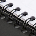 ACCO At-A-Glance Action PlannerAppointment Book Planner, Black, 6 1/2", AAG70-EP03-05