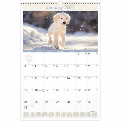 ACCO At-A-Glance Puppies Wall Calendar, White, 15 1/2", AAGDMW16728