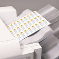 Avery Copier Address Labels, White, 8250 / Box, AVE5332