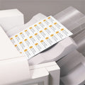 Avery Copier Address Labels, White, 3300 / Box, AVE5351
