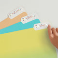 Avery Removable File Folder Labels, White, 750 / Pack, AVE8066