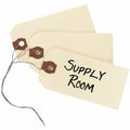 Avery Shipping Tags with Wire, 11.5 pt. Stock, 3-1/4" x 1-5/8", 1,000 Manila Hang Tags, 1000 / Box, AVE12602