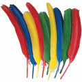 Dixon Ticonderoga Creativity Street Quill Feathers, Multicolor, 24 / Pack, PAC4503