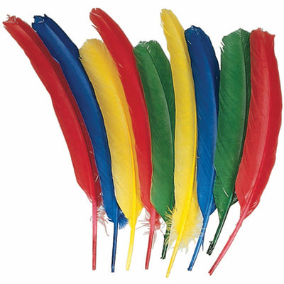 Dixon Ticonderoga Creativity Street Quill Feathers, Multicolor, 24 / Pack, PAC4503