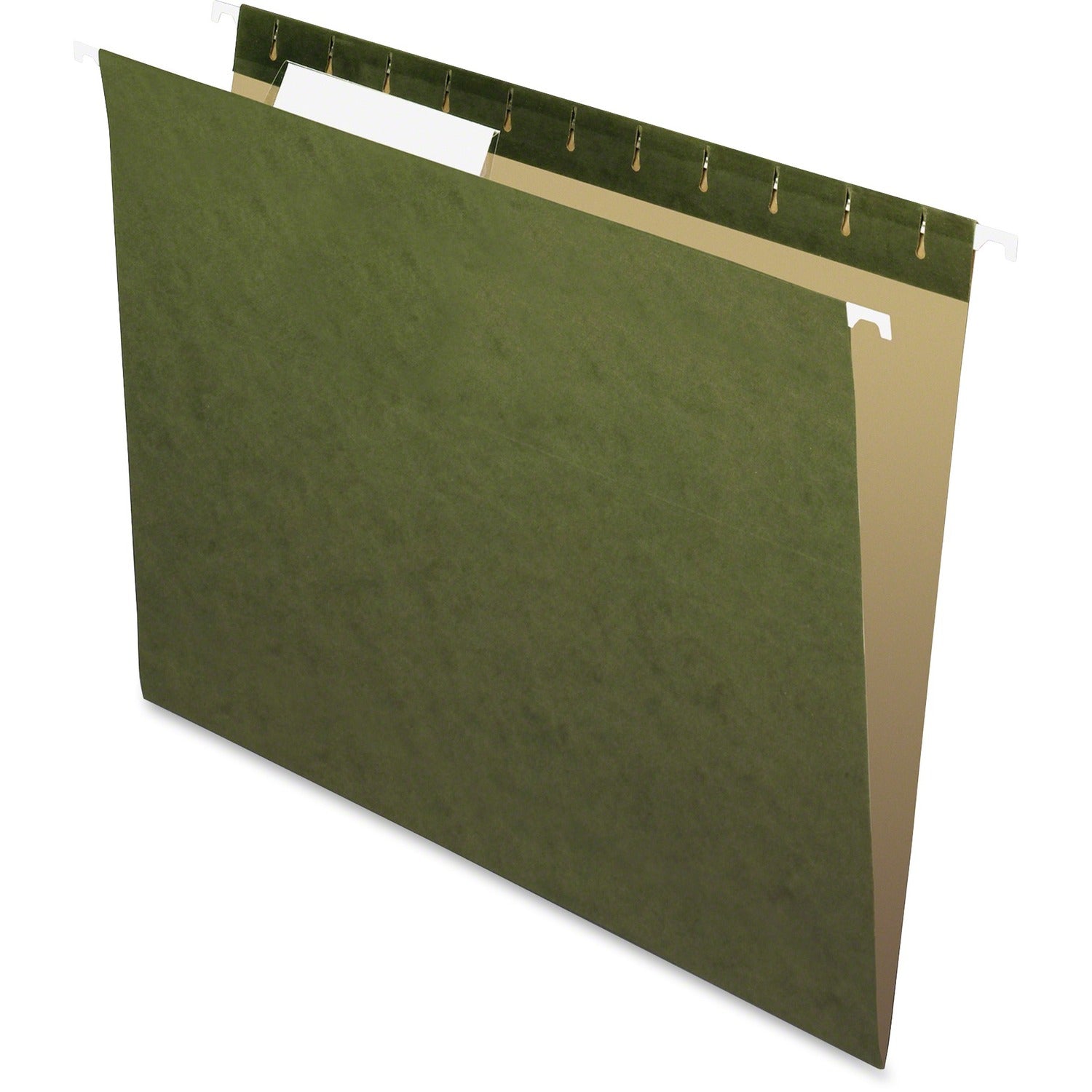 Pendaflex Essentials 1/3 Tab Cut Letter Recycled Hanging Folder, 1 Box