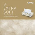 Kimberly-Clark Kleenex Professional Facial Tissue for Business - Flat Box, White, 1 Box, KCC21606