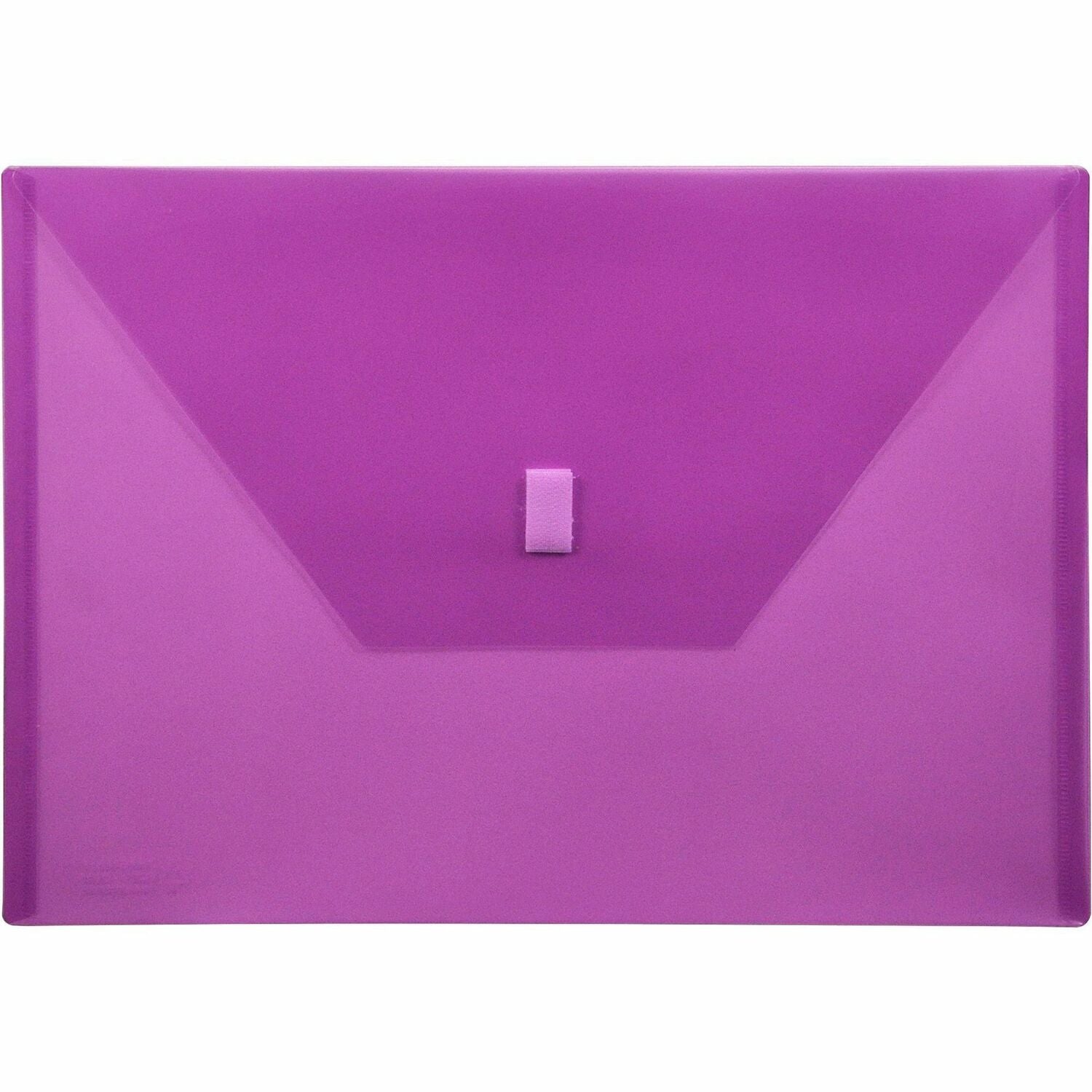 Lion 22080-PR A4 Recycled File Pocket, 1 Each