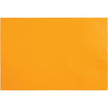 Quality Park 12-1/2 x 18-1/2 Jumbo Kraft Envelopes - Ungummed, 25 / Pack, QUA42353