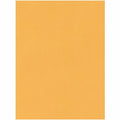 Quality Park 15 x 20 Jumbo Catalog Envelopes - Ungummed, Kraft, 25 / Box, QUA42355