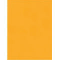 Quality Park 9 x 12 Catalog Mailing Envelopes with Redi-Seal Self-Seal Closure, Kraft, 250 / Box, QUA43562