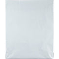 Quality Park White Poly Mailing Envelopes, 100 / Pack, QUA46200
