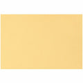 Quality Park 10 x 15 Heavy-Duty Document Mailers, Cameo, 100 / Box, QUA54416