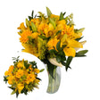 InBloom Sunny Vibes Bouquet (27 Stems) | Bright Yellow Florals for Cheerful Displays InBloom Group