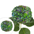Jumbo Hydrangea Stems (12-Pack, Hulk Green) | Bold Floral Accent for DÃ©cor InBloom Group