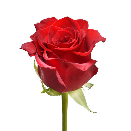 Red roses bouquet 125 faux stems