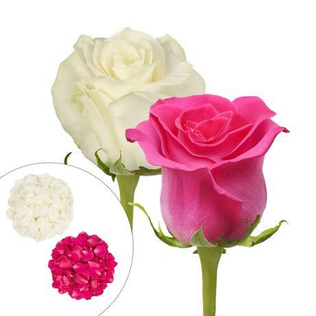 Roses & Petals Combo Box (50 Roses, 25 Stems, 2,000 Petals) | Hot Pink & White Floral Mix InBloom Group