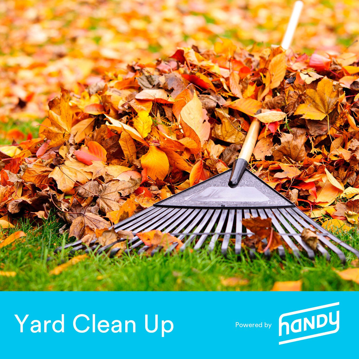 Handy Yard Cleanup Service