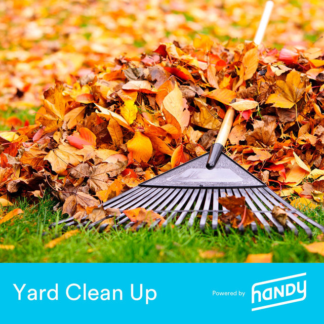 Handy Yard Cleanup Service