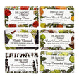 Dr. Jacobs Naturals Exfoliating Castile Soap Bars (6-Pack) | Gentle Castile Clean with Exfoliation Dr Jacobs Naturals