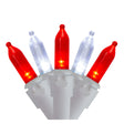 Northlight 33â€™ 100â€‘Ct. Christmas Lights (Red & White) | Festive, Energy-Efficient Outdoor DÃ©cor Northlight