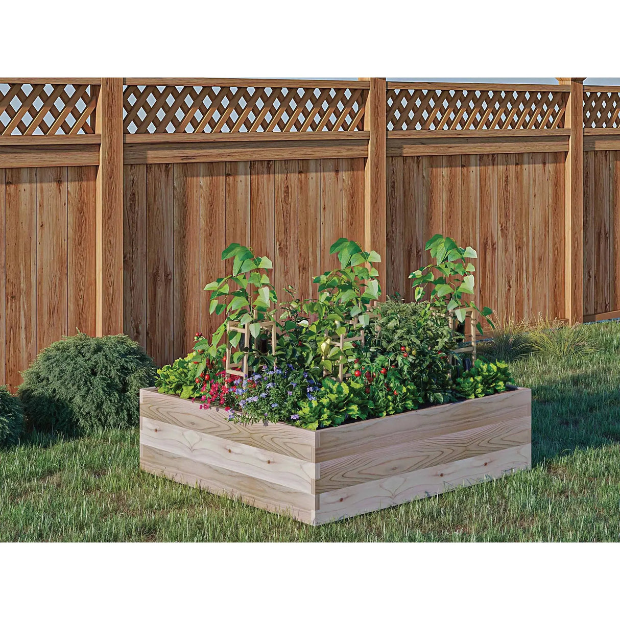 CedarCraft Cedar Planter Box | Raised Garden Bed for Herbs & Vegetables CedarCraft