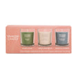 Yankee Candle 3-Pack Holiday Jar Set | Balsam & Cedar, Vanilla CrÃ¨me BrÃ»lÃ©e, Warm Lux Cashmere Yankee Candle