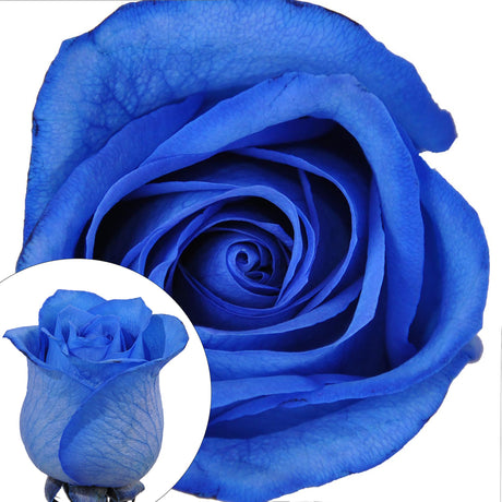 Blue Tinted Roses | Vibrant Faux Floral Arrangement for Unique Event Displays InBloom Group