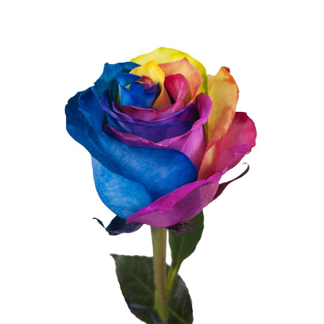 Rainbow Tinted Roses Bouquet | Vibrant Multi-Color Floral Gift InBloom Group