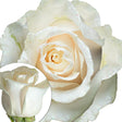 White Iridescent Glitter Roses | Shimmering Faux Floral DÃ©cor for Events & Gifts InBloom Group