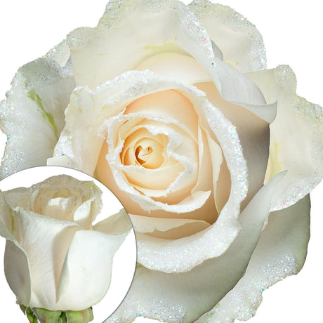 White Iridescent Glitter Roses | Shimmering Faux Floral DÃ©cor for Events & Gifts InBloom Group