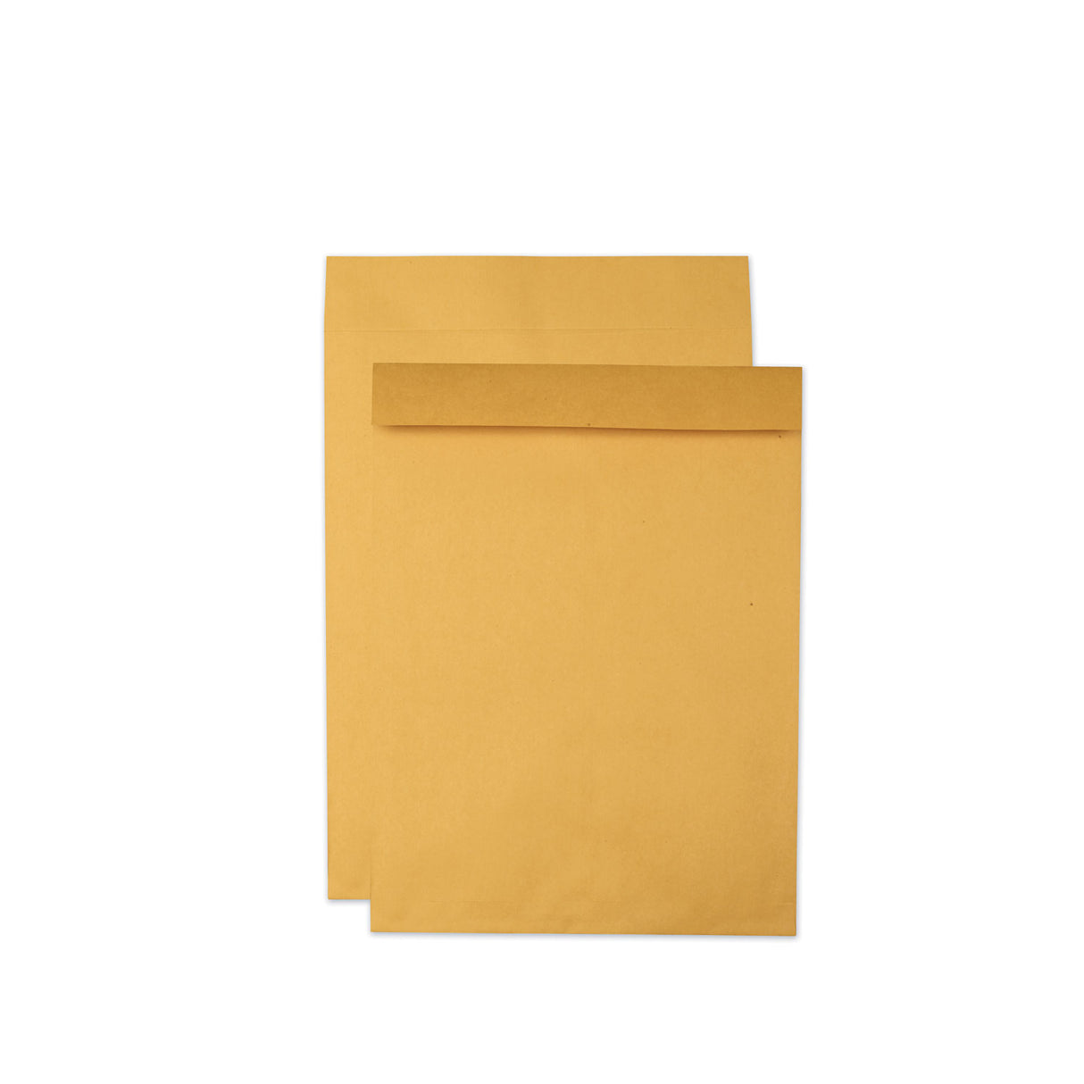 Quality Park Jumbo Size Kraft Envelope, Cheese Blade Flap, Fold-Over Closure, 17 x 22, Brown Kraft, 25/Pack (42356)