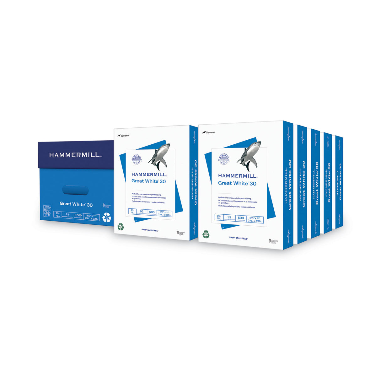 Hammermill Great White 30 Recycled Print Paper, 92 Bright, 20 lb Bond Weight, 8.5 x 11, White, 500 Sheets/Ream, 10 Reams/Carton (86700)