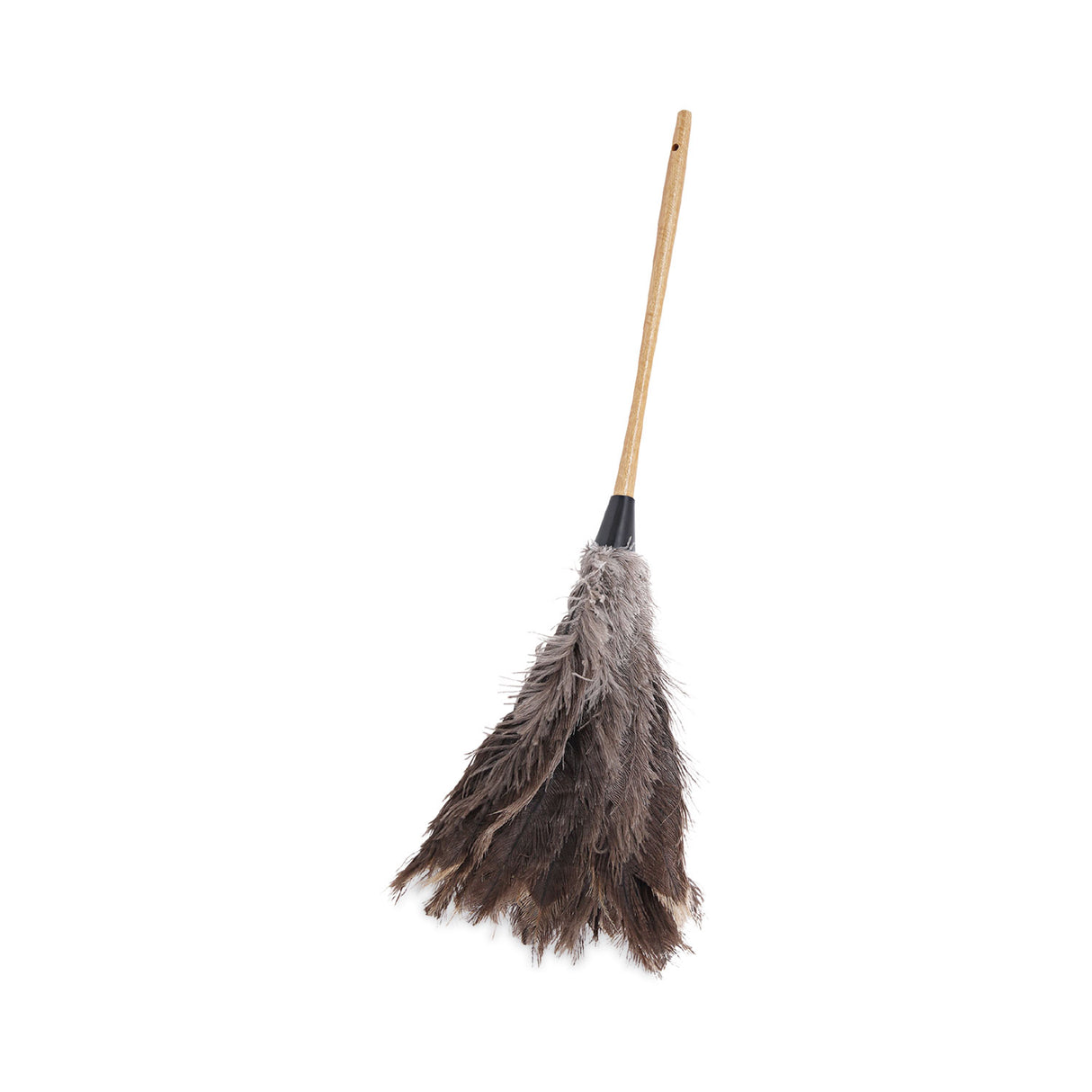 BoardwalkÂ® Professional Ostrich Feather Duster, 16" Handle, Each (BWK31FD)