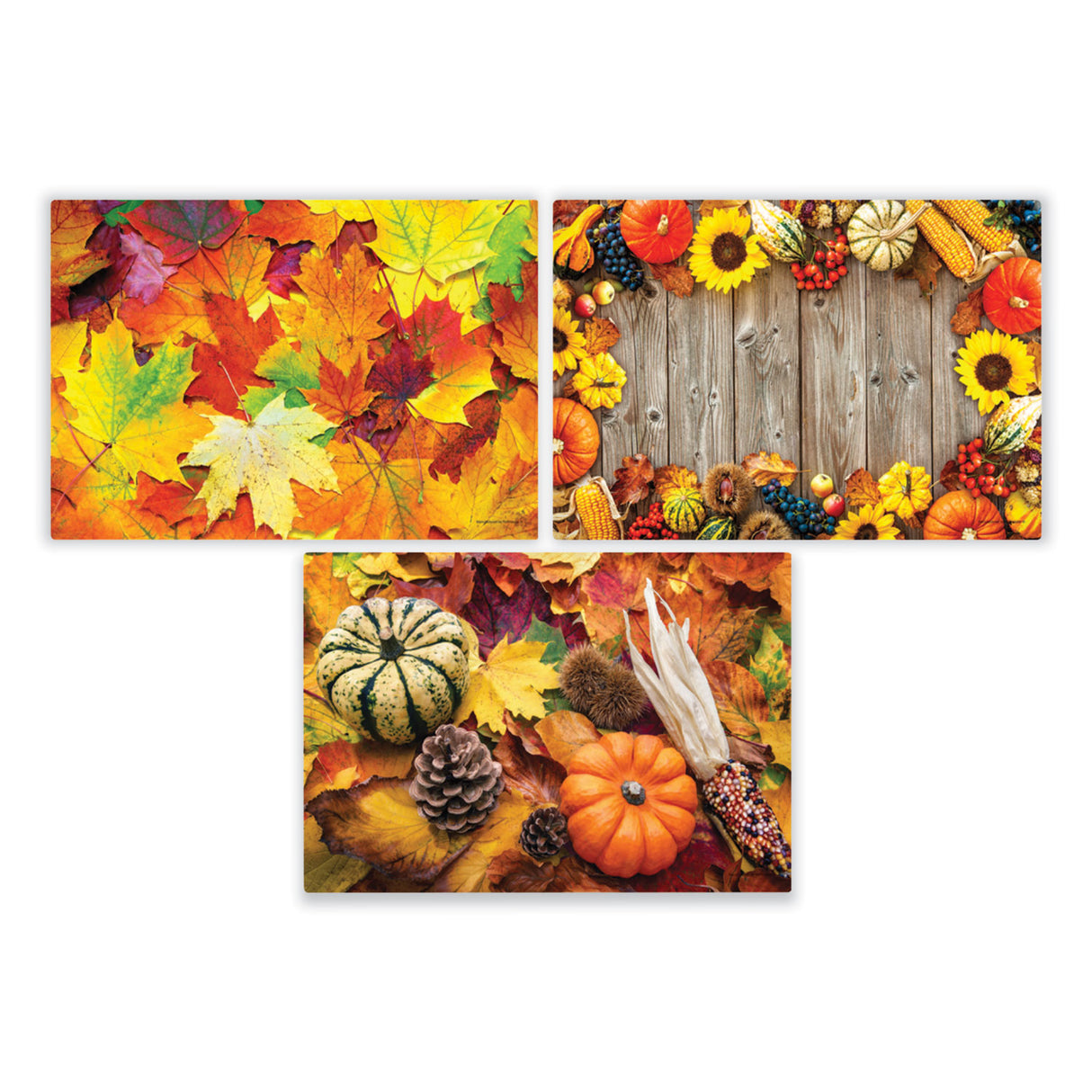 Hoffmaster Autumn Days Multi-Pack Placemats, 10 x 14, Three Different Designs, 1,000/Carton (702081)
