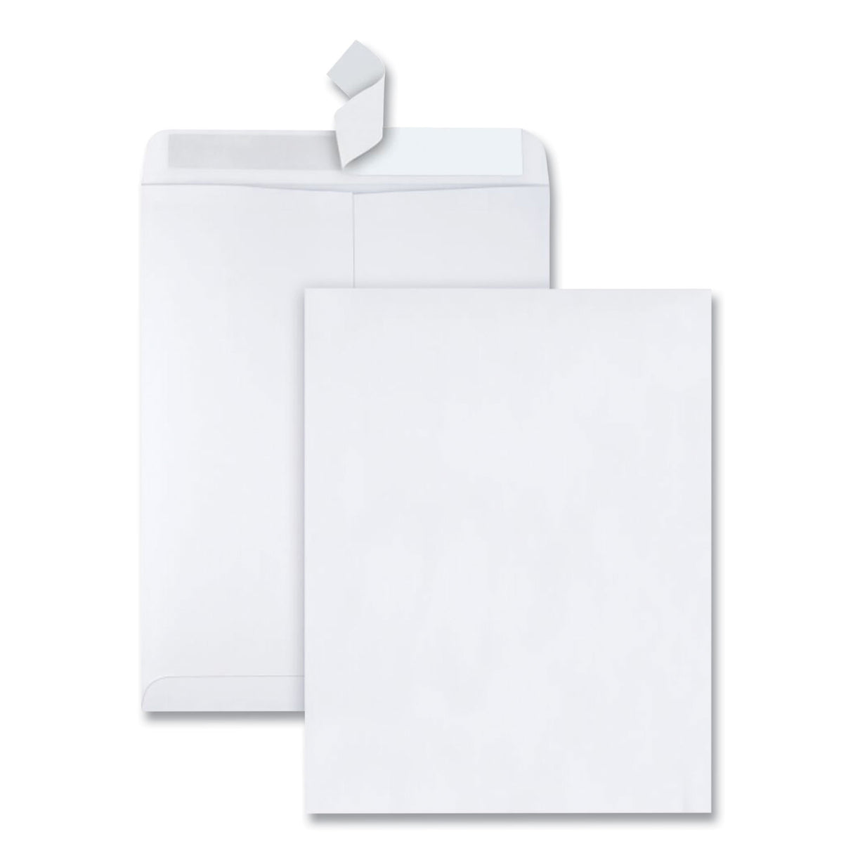 Quality Park Redi-Strip Catalog Envelope, #13 1/2, Cheese Blade Flap, Redi-Strip Adhesive Closure, 10 x 13, White, 100/Box (44782)