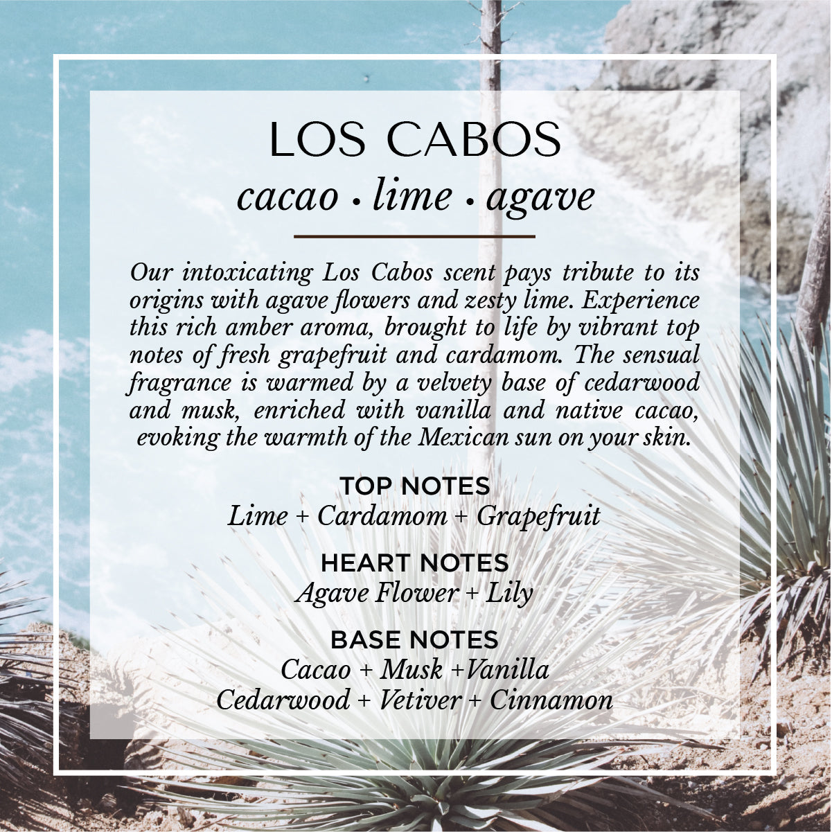 Soleil Roller Parfum